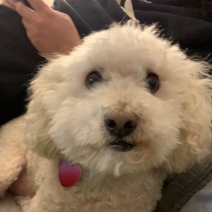 Meet your Posher, Nora